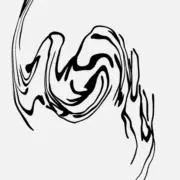 IN MY