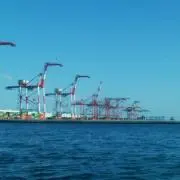 KONの画像
