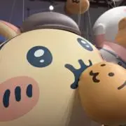 遥の画像
