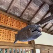 ありあゆらの画像