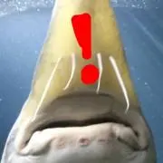 水の人！の画像