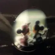 ヒロ໒꒱の画像