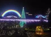 IZUCHIの画像