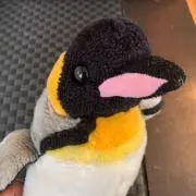トミトミトミの画像