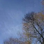 さくりやん