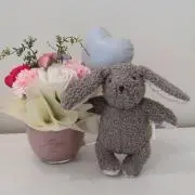 夢うさぎの画像