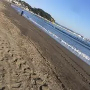 り〜