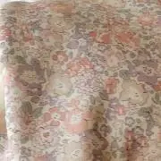 よっちゃんの画像