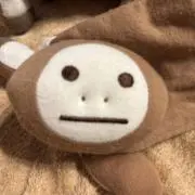 さそりの画像