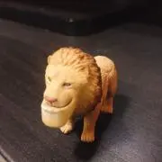 シャークの画像