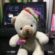 フィット