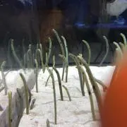 ゼロの画像