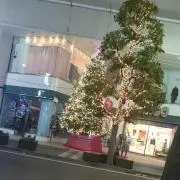 あゆた