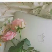 ねね