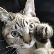 こまめ⚠️タグ無し.まとめ割引あります。の画像