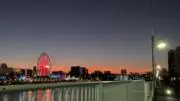 新山慎太郎