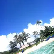 SEAの画像