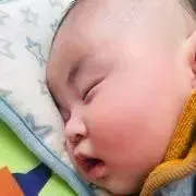 蒼