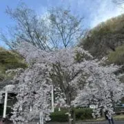 Doanhoang