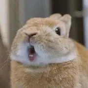 もろ しょう