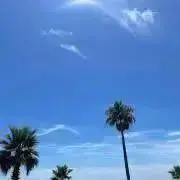 ekk♡