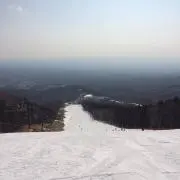 棒太郎