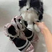 茜の画像