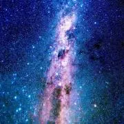 キキの画像