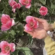 at＊＊プロフィール必読の画像