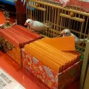 ゆず✦即購入可 フォロー割有 プロフ必読の画像