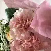 アンの画像