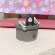 おんなのこ