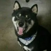 あーね