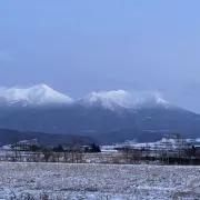 サクラ