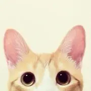 Itsukiの画像