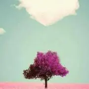 スイートの画像