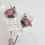 桃の画像
