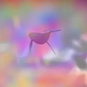 りんごの画像