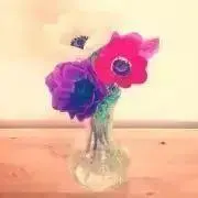 Hana＊の画像