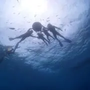 rijuma プロフ確認して下さいの画像