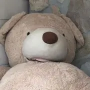 maji