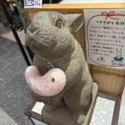 コトコト　即買い可能！の画像