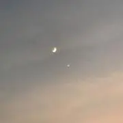 mamiの画像