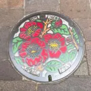 むーの画像