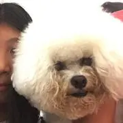たけ