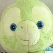 オルの画像