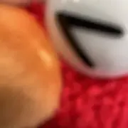 ところざわ。