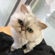 ゆい
