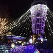 ちゃぴんの画像