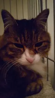 ミミモモ